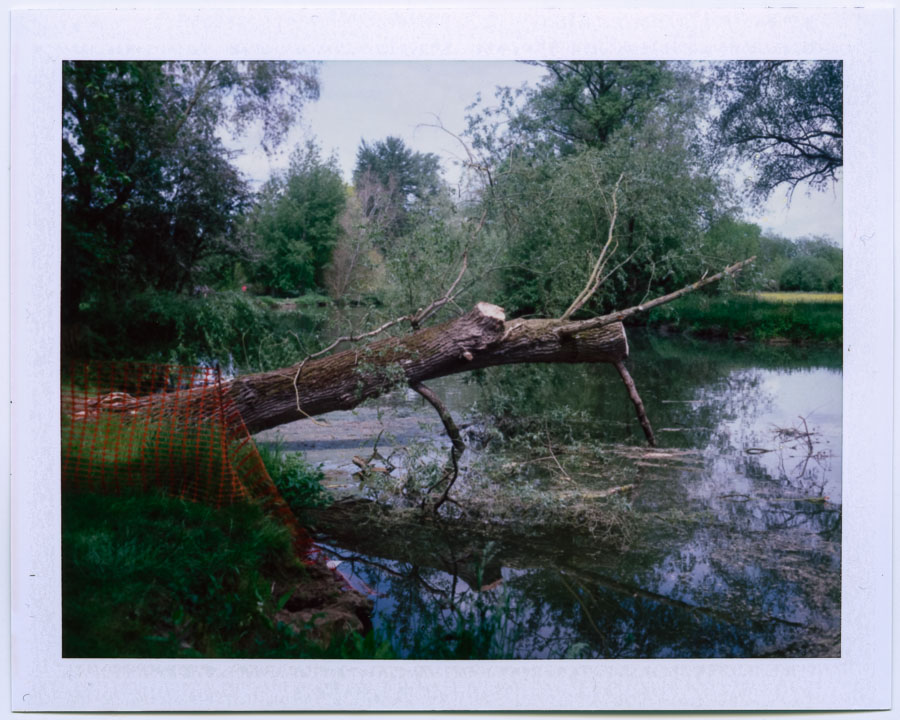 20190522_Polaroid190_FP100C_003_web