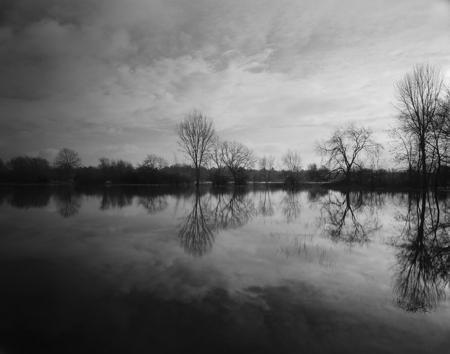 20201229_Flooded_Meadow_75mm_FP4_HC110B_001_web