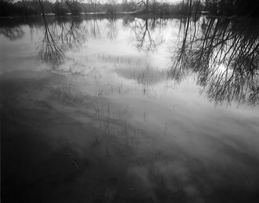 20201229_Flooded_Meadow_75mm_FP4_HC110B_002_web