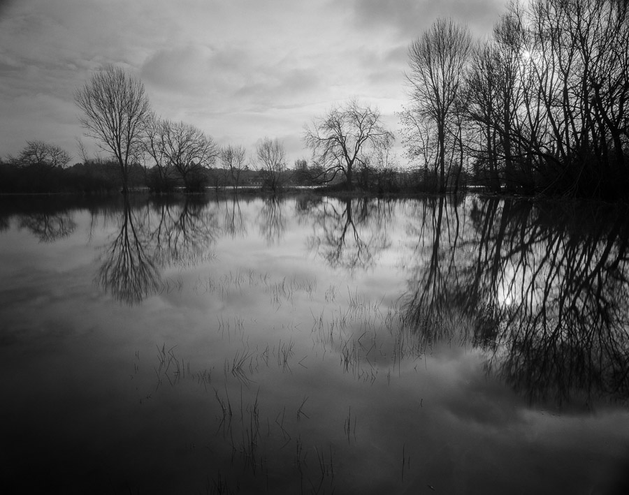 20201229_Flooded_Meadow_75mm_FP4_HC110B_003_web