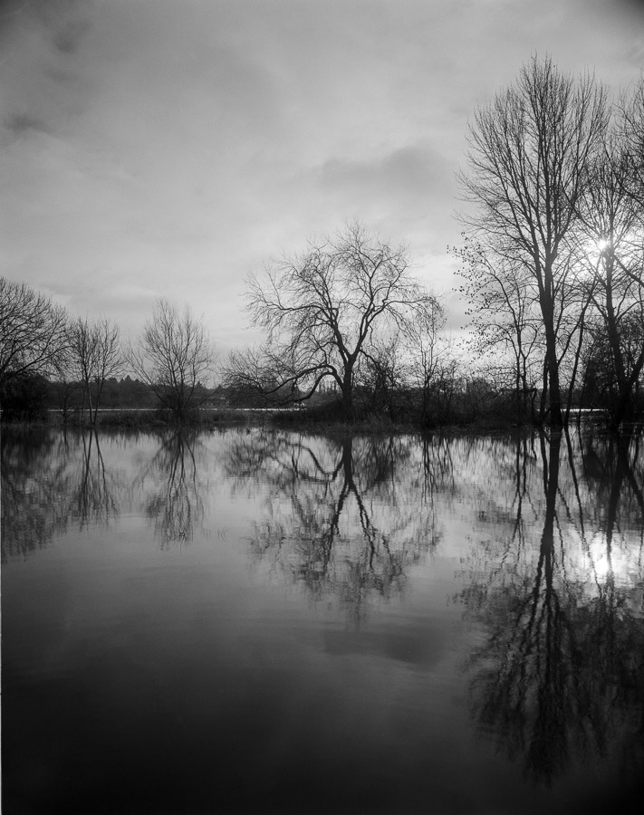 20201229_Flooded_Meadow_75mm_FP4_HC110B_004_web