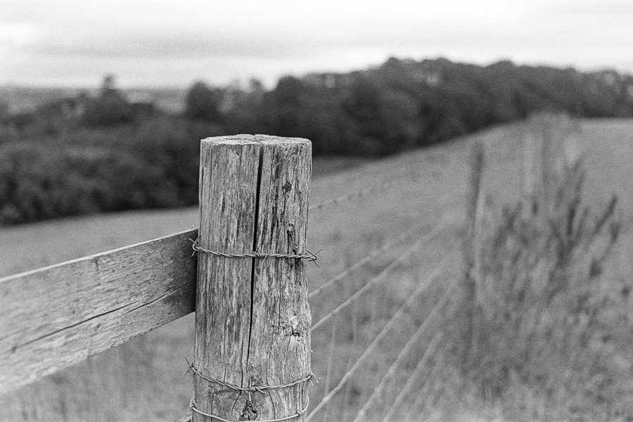 20210923_Symondsbury_PMX_HP5_Promicrol_14_web