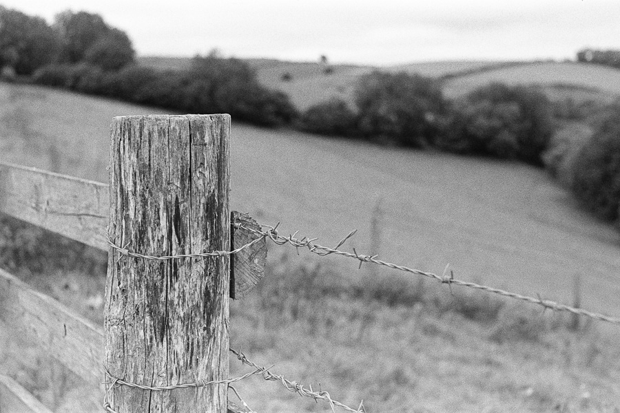 20210923_Symondsbury_PMX_HP5_Promicrol_16_web