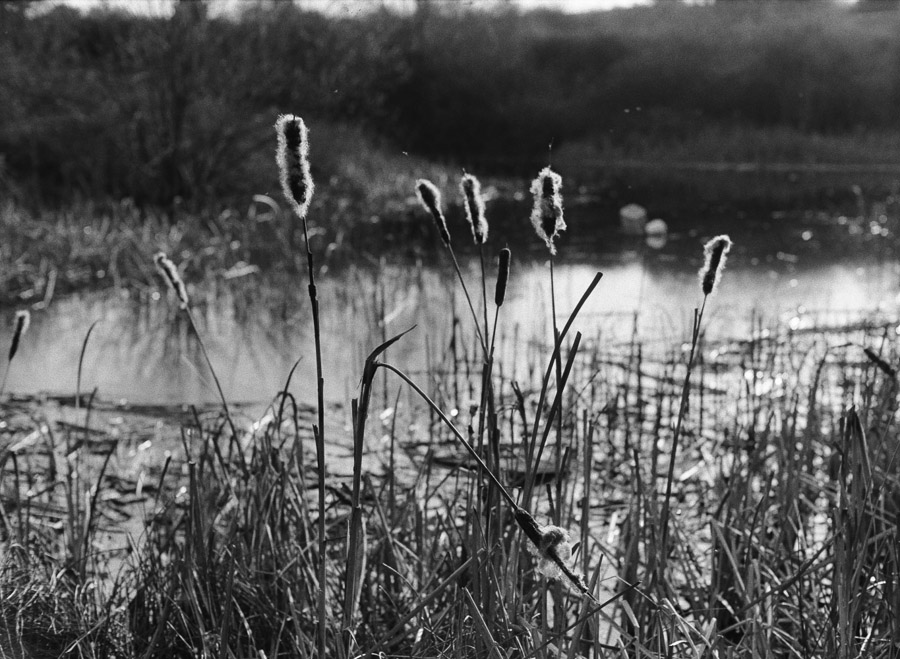 20210327_Happy-Valley_FA_FP4_HC110B_02A_web