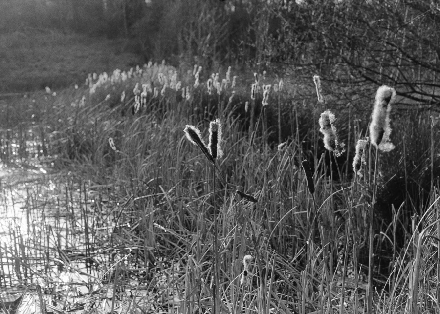 20210327_Happy-Valley_FA_FP4_HC110B_07A_web