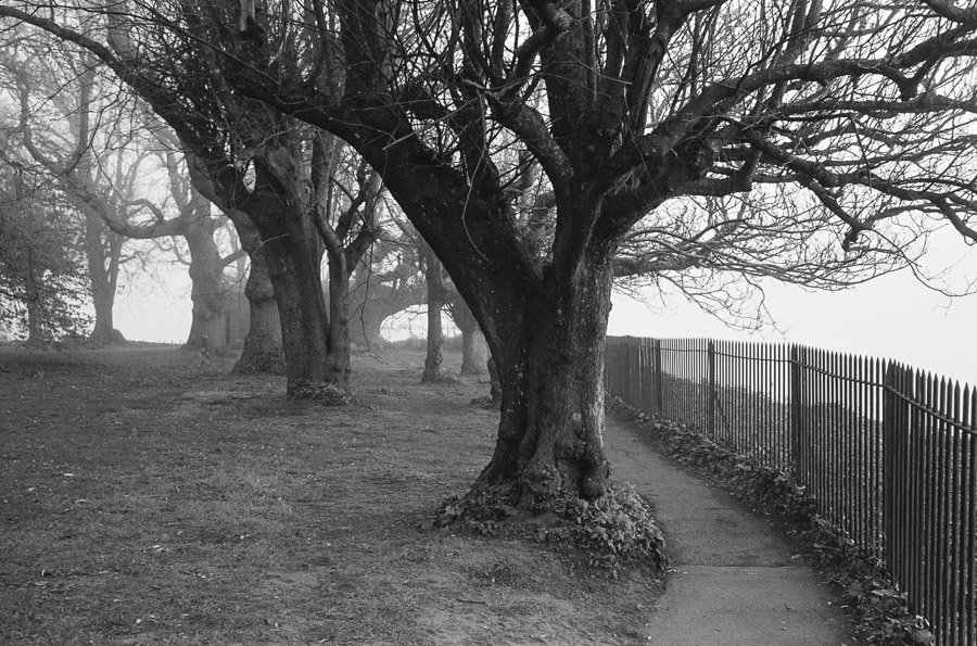 20220418_Dawlish_FE2_28-75_DELTA400_DDX_29A_web