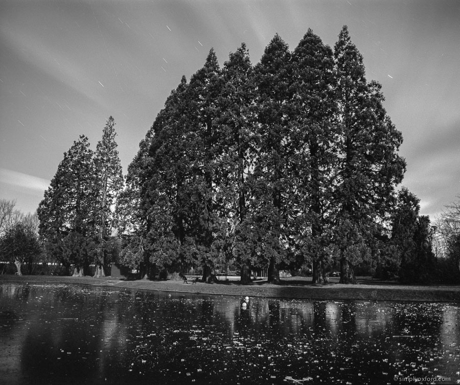 20260104_RB67_6min-Exposure_Acros_HC110B_01_web